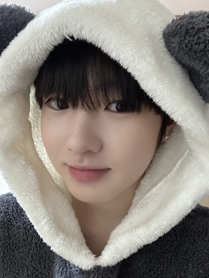 어머..🐷❤🐰 tweet media