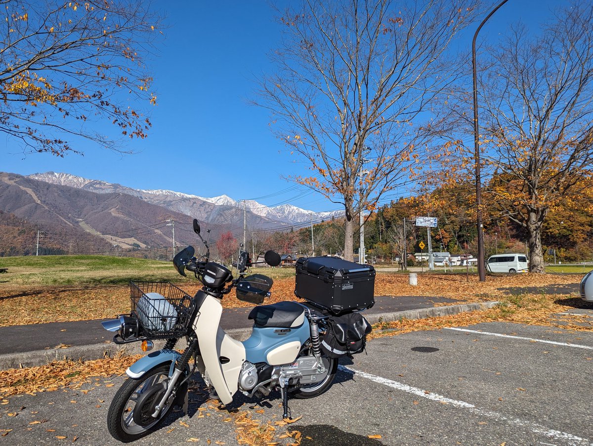 ステーが太いのいいな〜 無骨感あっていいかも 2023 スーパーカブプロ JA61