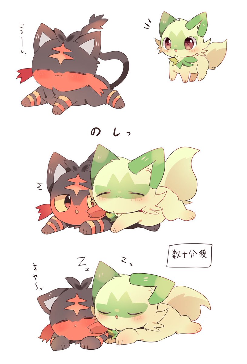 のしっ🐱🌱🔥