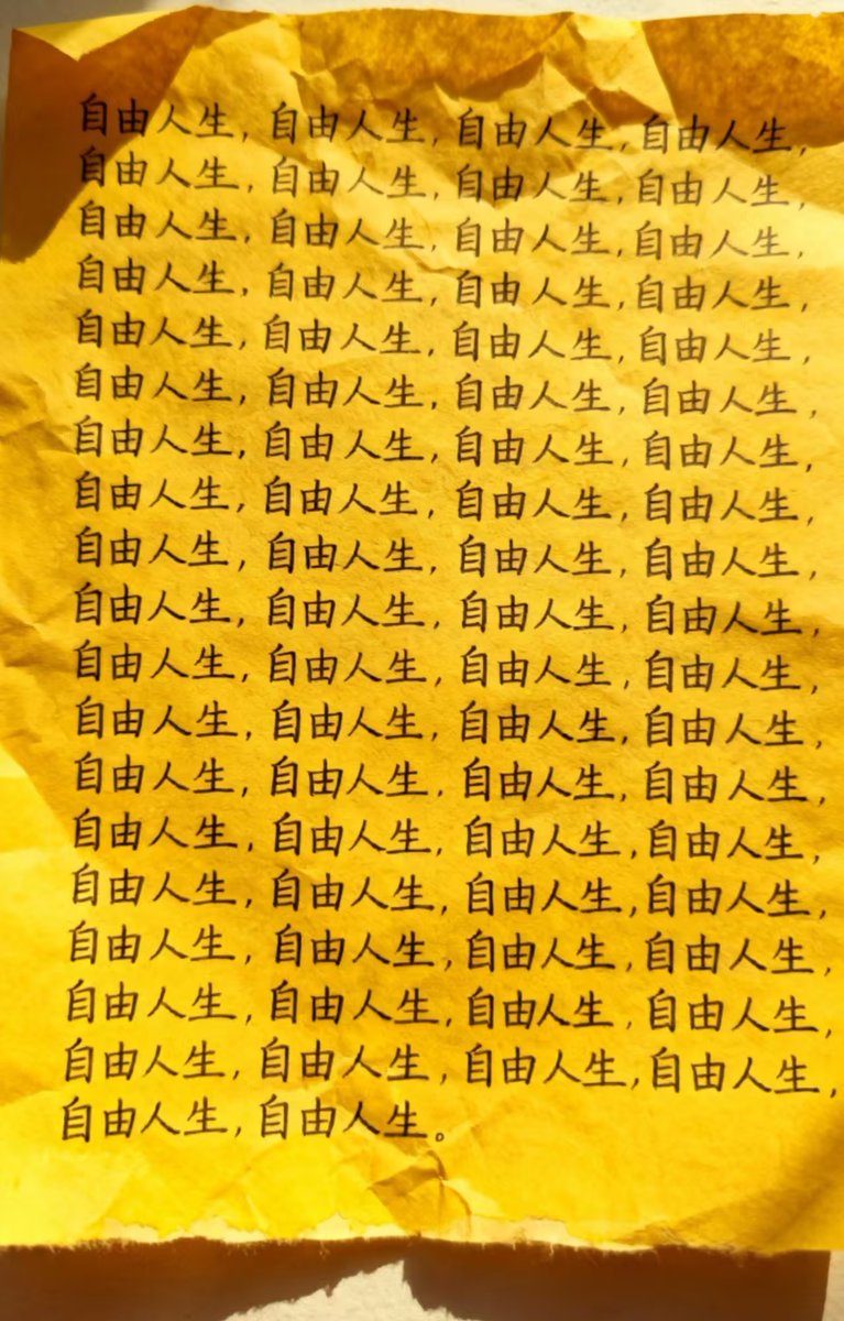 自由人生 tweet media