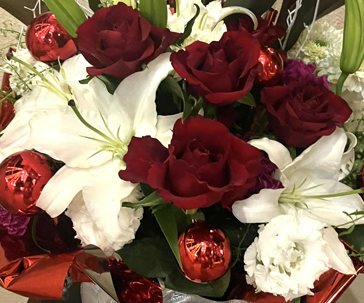 コマちゃん (@YUKA_komachan) / Posts / X