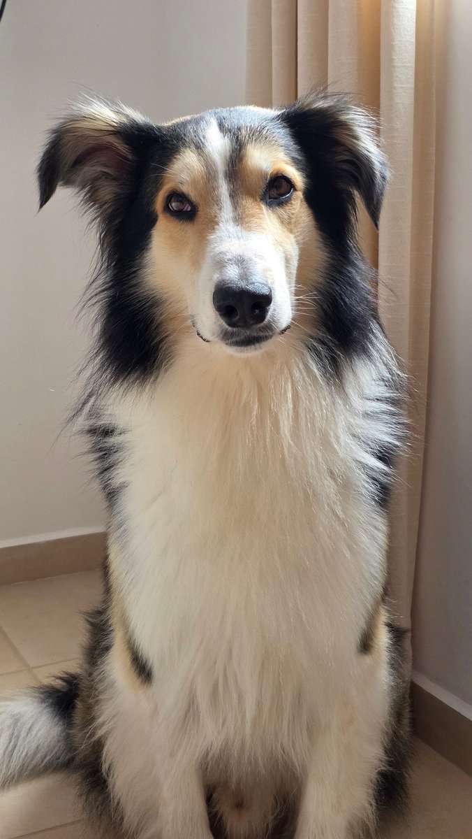 No puede más de hermoso