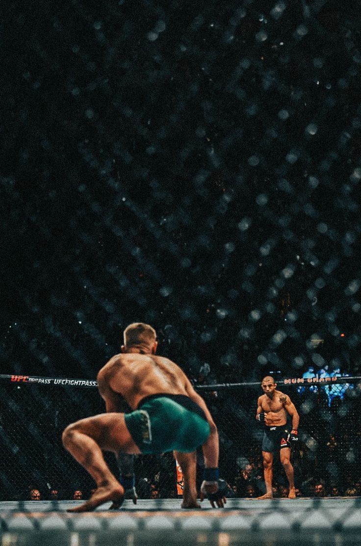 Roots of Combat tweet media