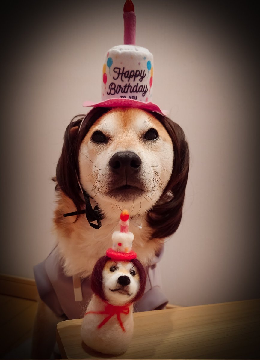 「ぼく達ノ カイダン ノ オハナシ
 (`・ω・´)」
`⁽˙꒳˙⁾´「2階ニ アガル ツカウ」
( ´◉ з ◉)⁽˙³˙⁾フー💨🕯
朝ドラ大好きキャンドル・タワシ兄弟が21時をお知らせします🔔
絶対フー💨🕯すると思った🤭
カイダン ハナシ ソレト チガウ 🤭🤭
#お知らせ小さいお母ちゃん  
#ましバニアファミリー