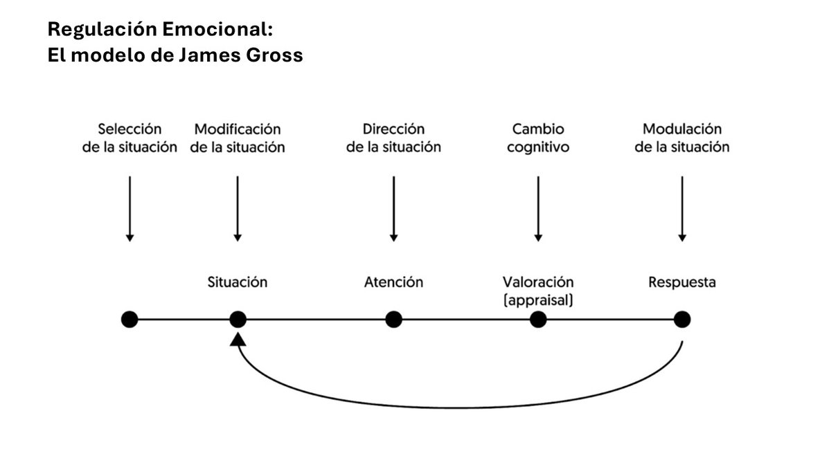 Daniel Colombo tweet media