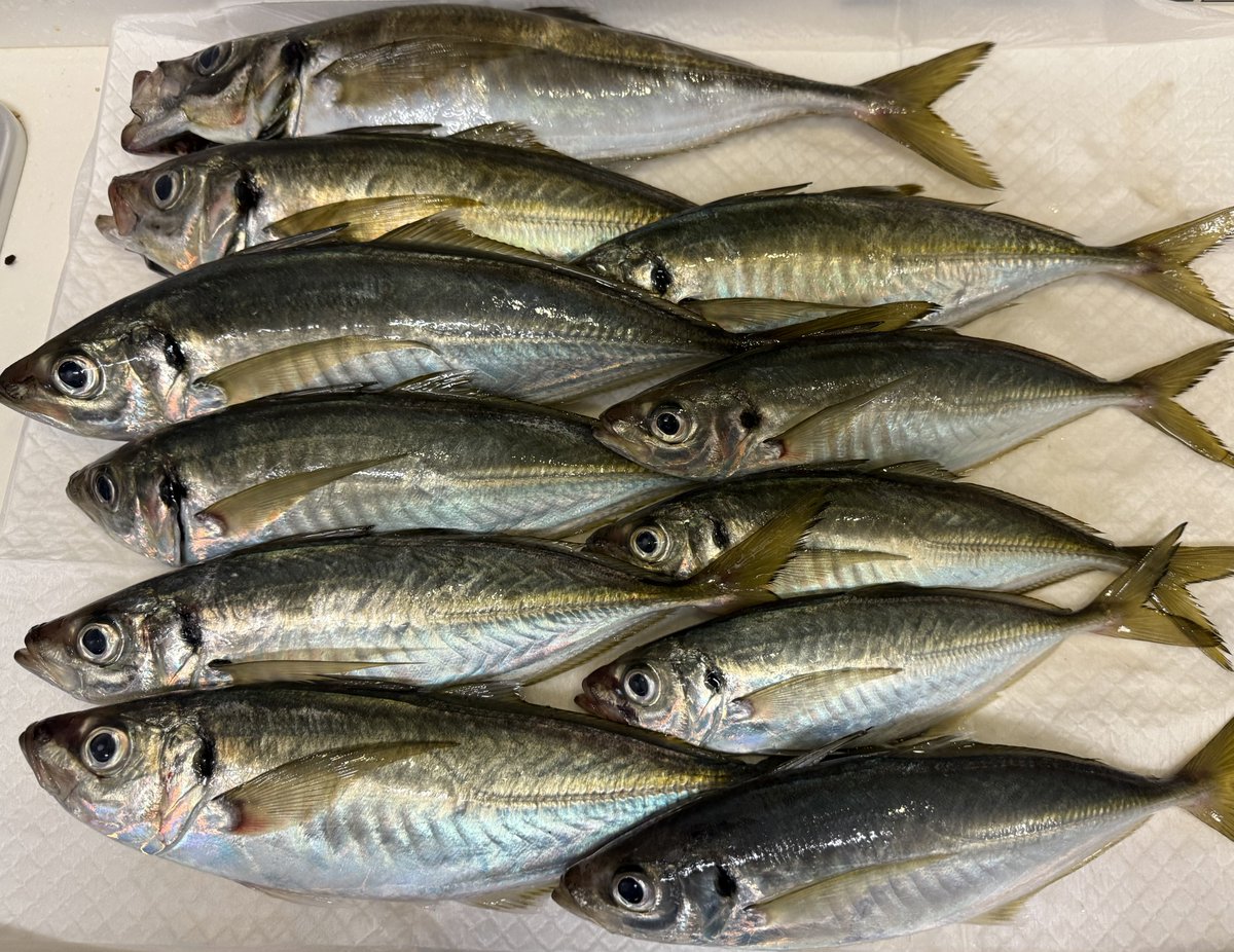 たろう様 仮面ライダータイクーン meets 仮面ライダーシノビ』にZX・剣斬・風魔