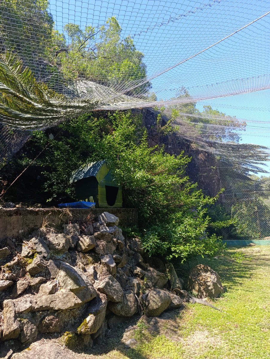 ECFA refuerza el bienestar animal con acciones de enriquecimiento ambiental de cara al verano
maldonado.gub.uy/noticias/ecfa-…