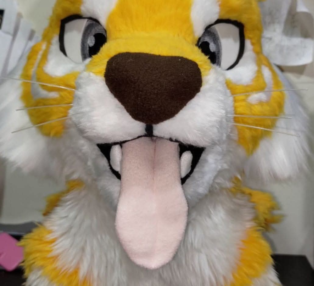 DragonX2space's tweet image. #Fursuit #Maker #sabertoothtiger
［製作品分享］-起司虎

近期在整理照片，看到一些起司虎的製作過程照，與大家一起分享
基底為EVA，加上海綿輔助雕塑。
最後一張吐舌頭，好可愛💖