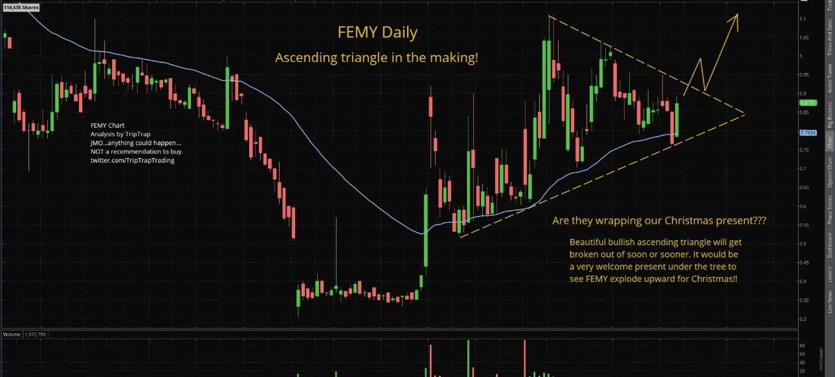 $FEMY <a href="/FemasysInc/">Femasys</a> are they wrapping our Christmas present? Ascending triangle in the making!! 🎄🎅🚀