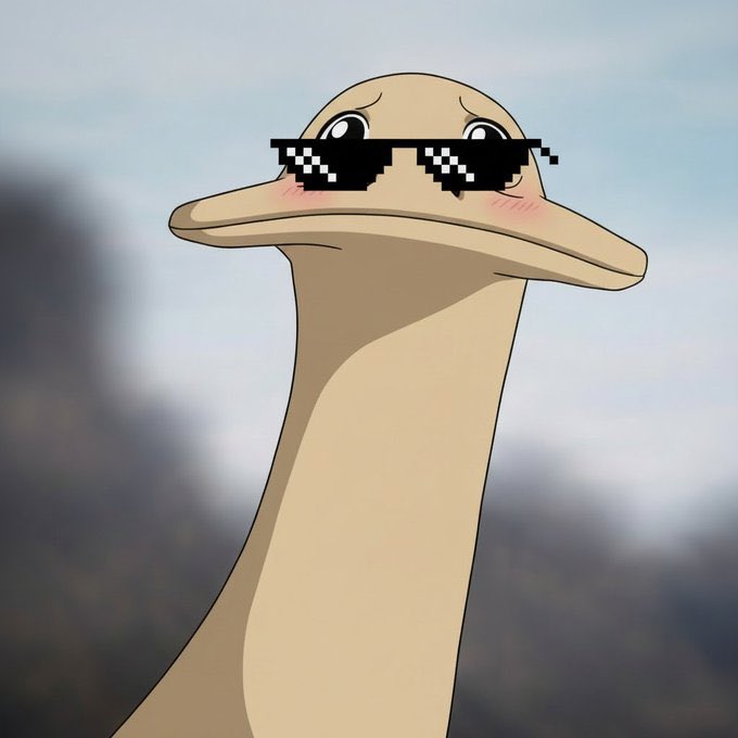 morgue 🌠 tweet media