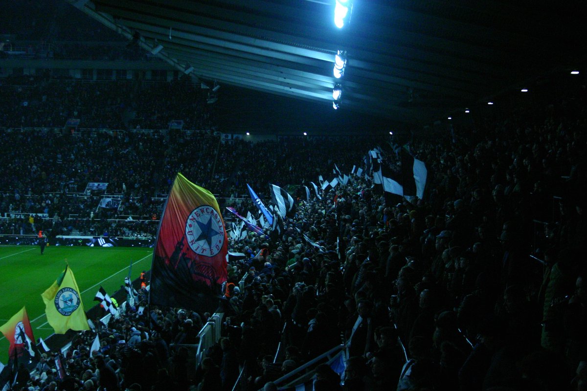 Calvino Broderico tweet media