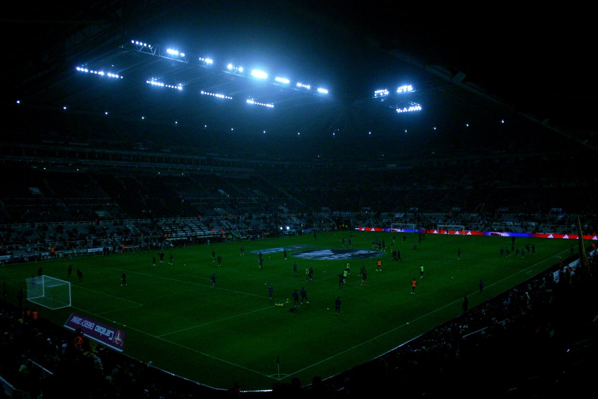 Calvino Broderico tweet media