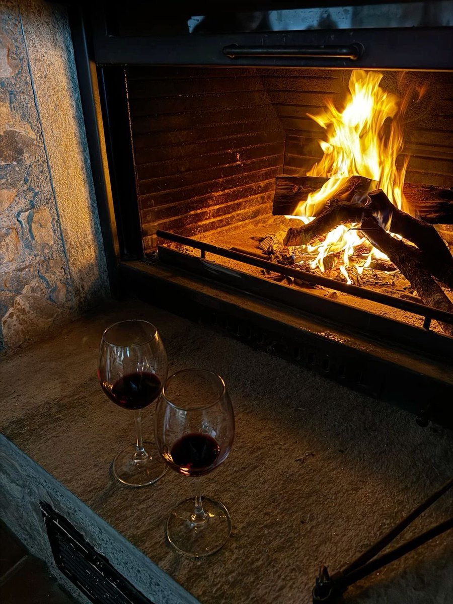 DrystanGuiar tweet media