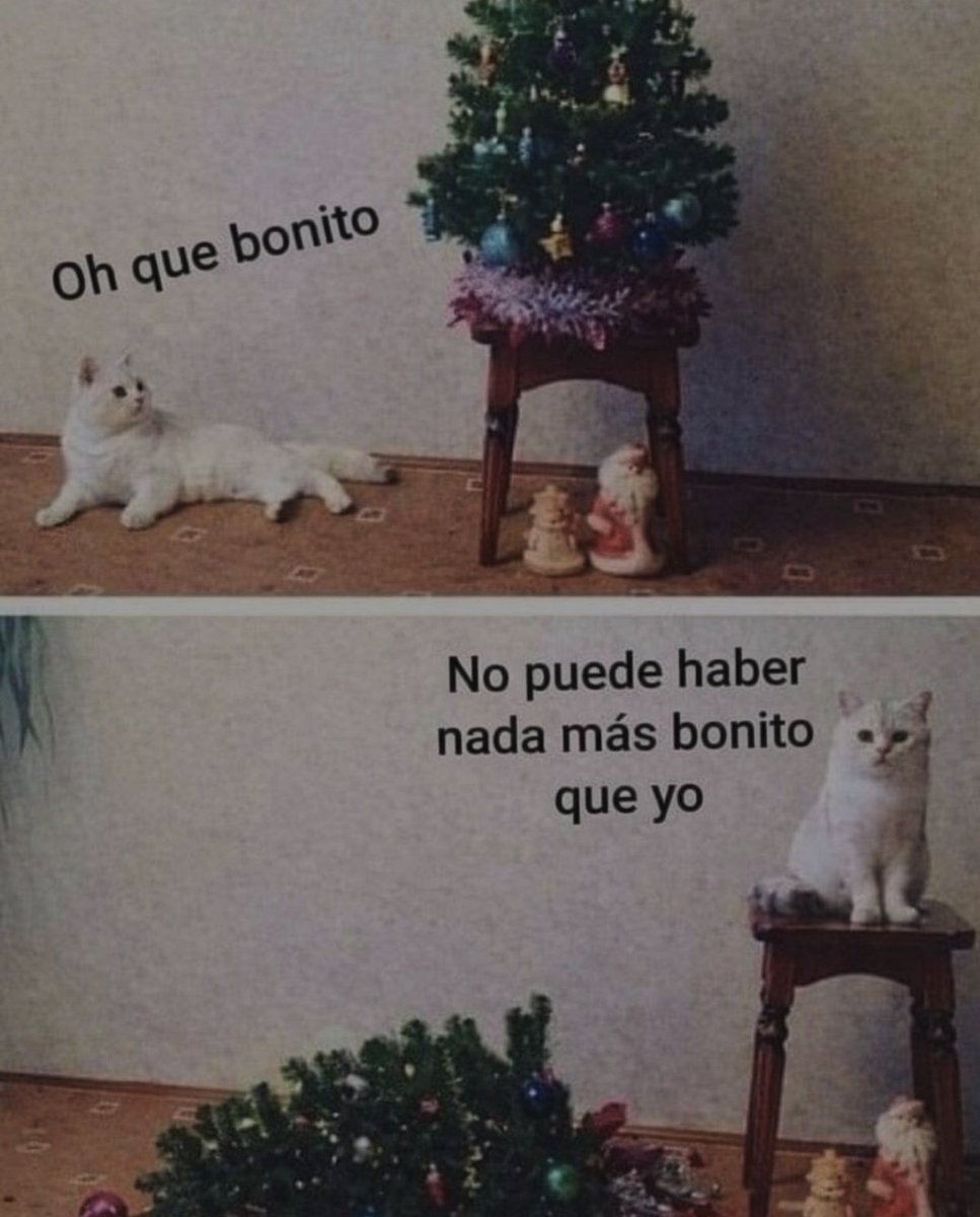 Es que me los imagino tal que así con la obsesión que tienen con el árbol jajajajaja