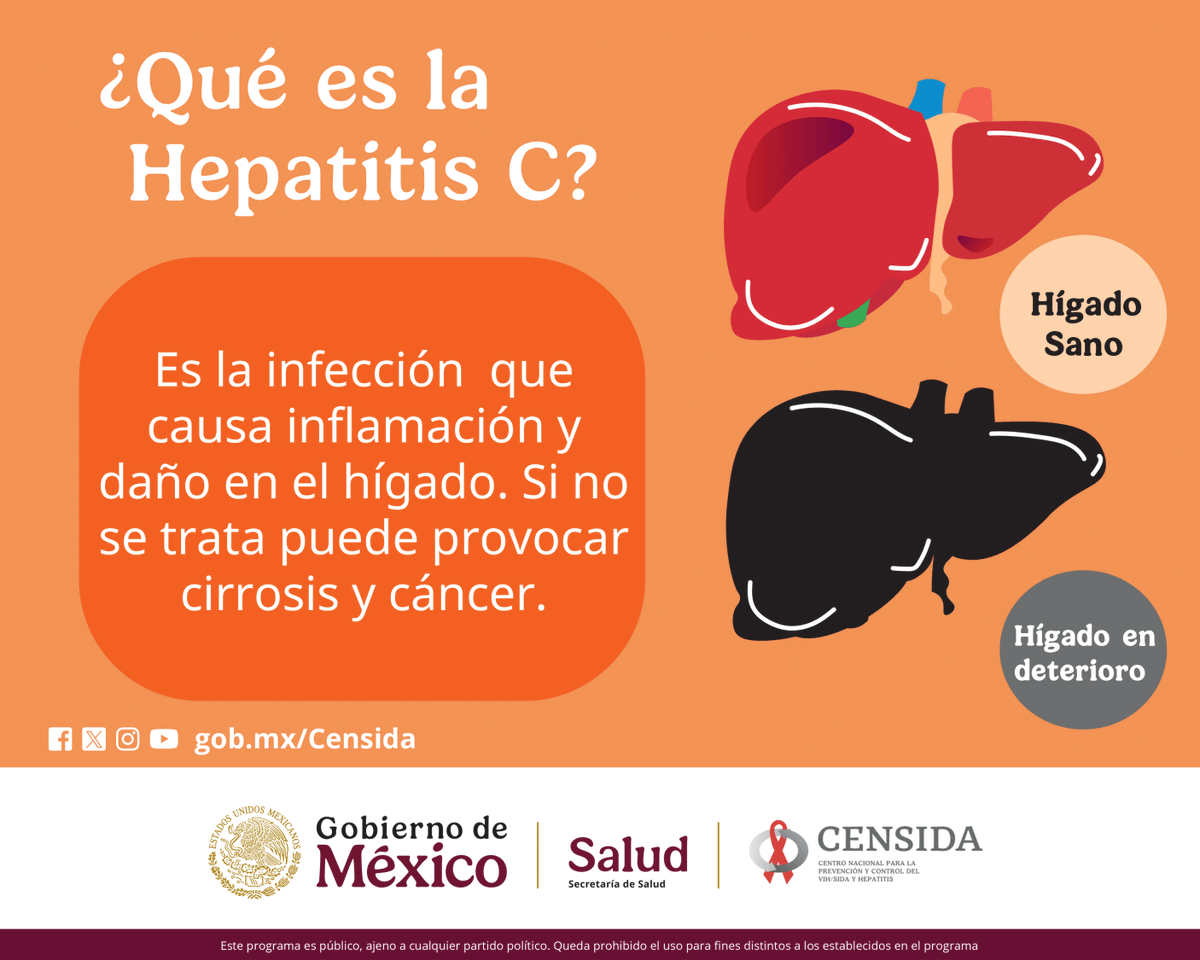 Cáncer de hígado: Causas y prevención -, image size:1200x960