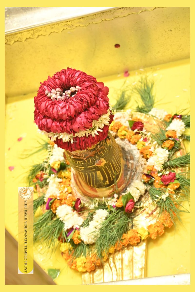 ShriVishwanath's tweet photo. श्री काशी विश्वनाथ जी की सप्तऋषि आरती I
#kashivishwanath #kashi #sanatandharma #banaras https://t.co/ZiyfgqutiO