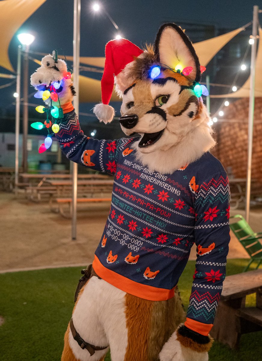 ¡Foxy Navidog! 🎄🦊✨
📷 varekmorro.bsky.social