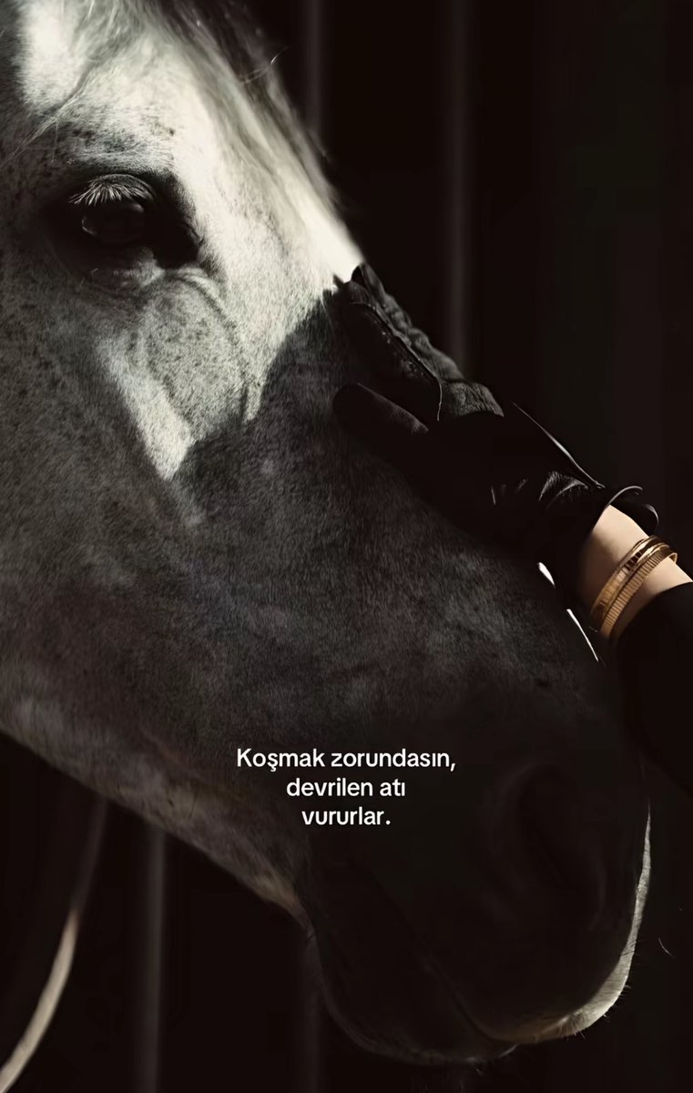 Bir gün var asra (@birgunvarasra) on Twitter photo 