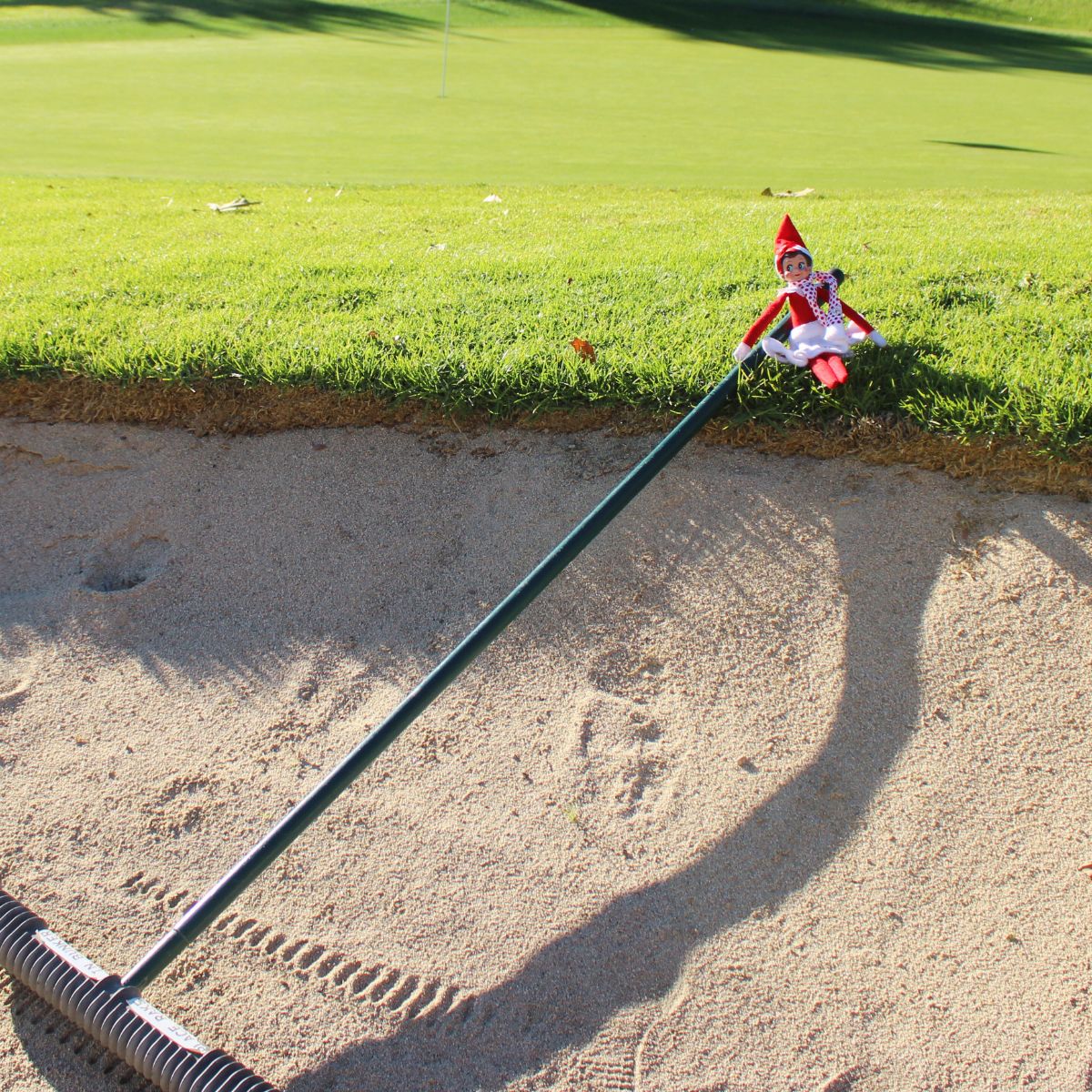 JC Golf tweet media