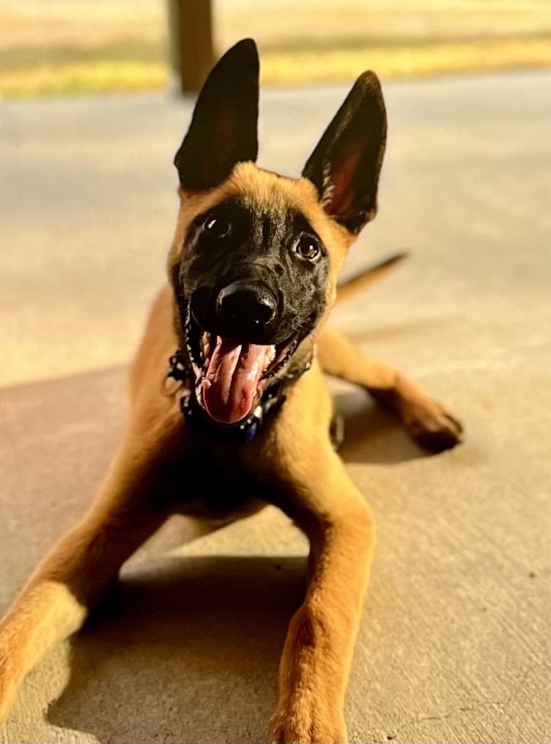 Today at Noon <a href="/FOX8NOLA/">FOX 8 New Orleans</a> #News #Nola. We are sharing more of your #familypictures   #lovedonespictures in our #smilesoftheday