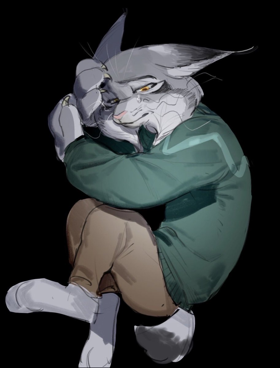 球球DBao tweet media