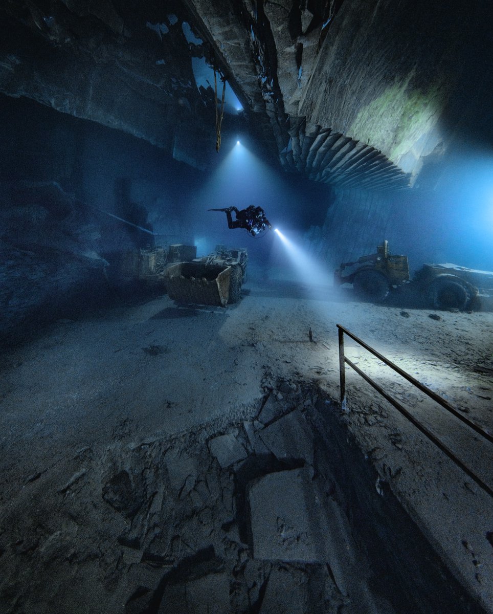 Scuba Diving Lover tweet media