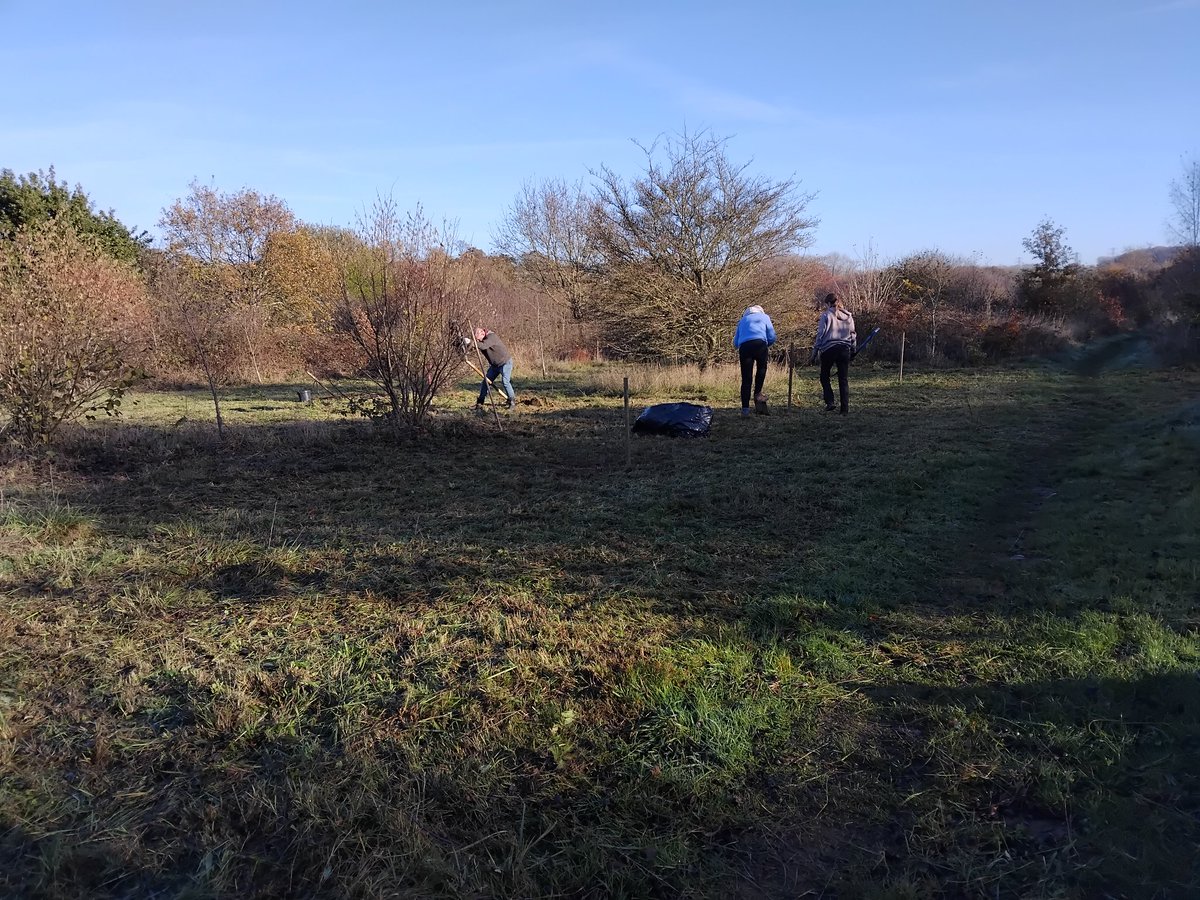 Greenways Project tweet media