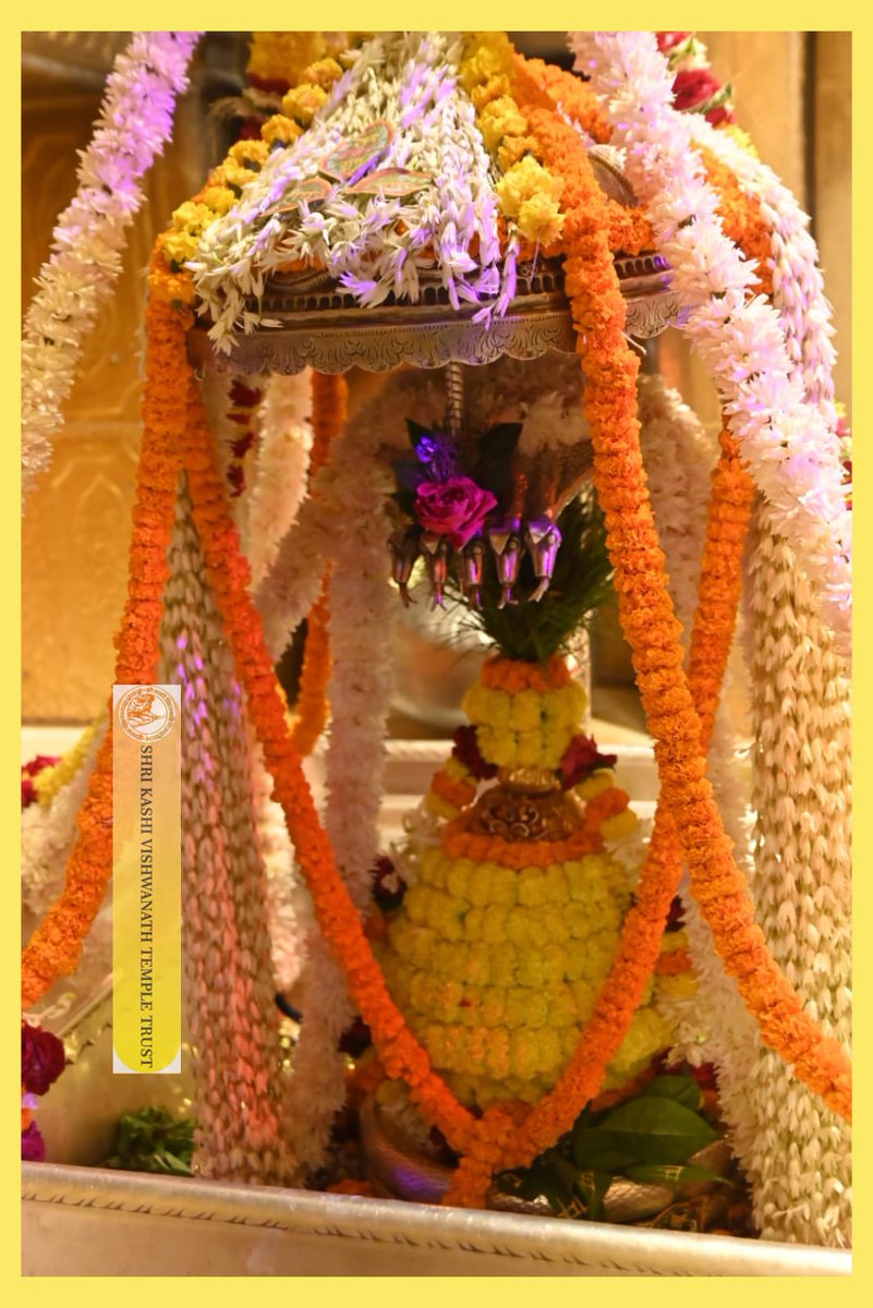 ShriVishwanath's tweet photo. श्री काशी विश्वनाथ जी की शयन आरती I
#kashivishwanath #kashi #sanatandharma #banaras https://t.co/lt7BgiOA4Y