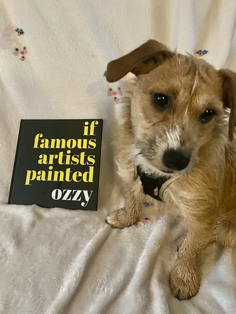 Claire Evans tweet media