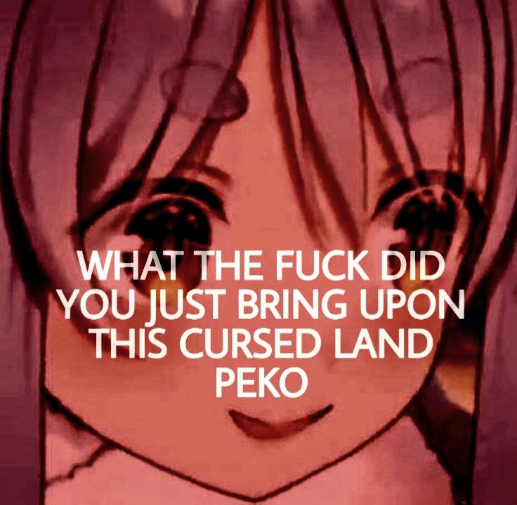 Videl-Sama tweet media