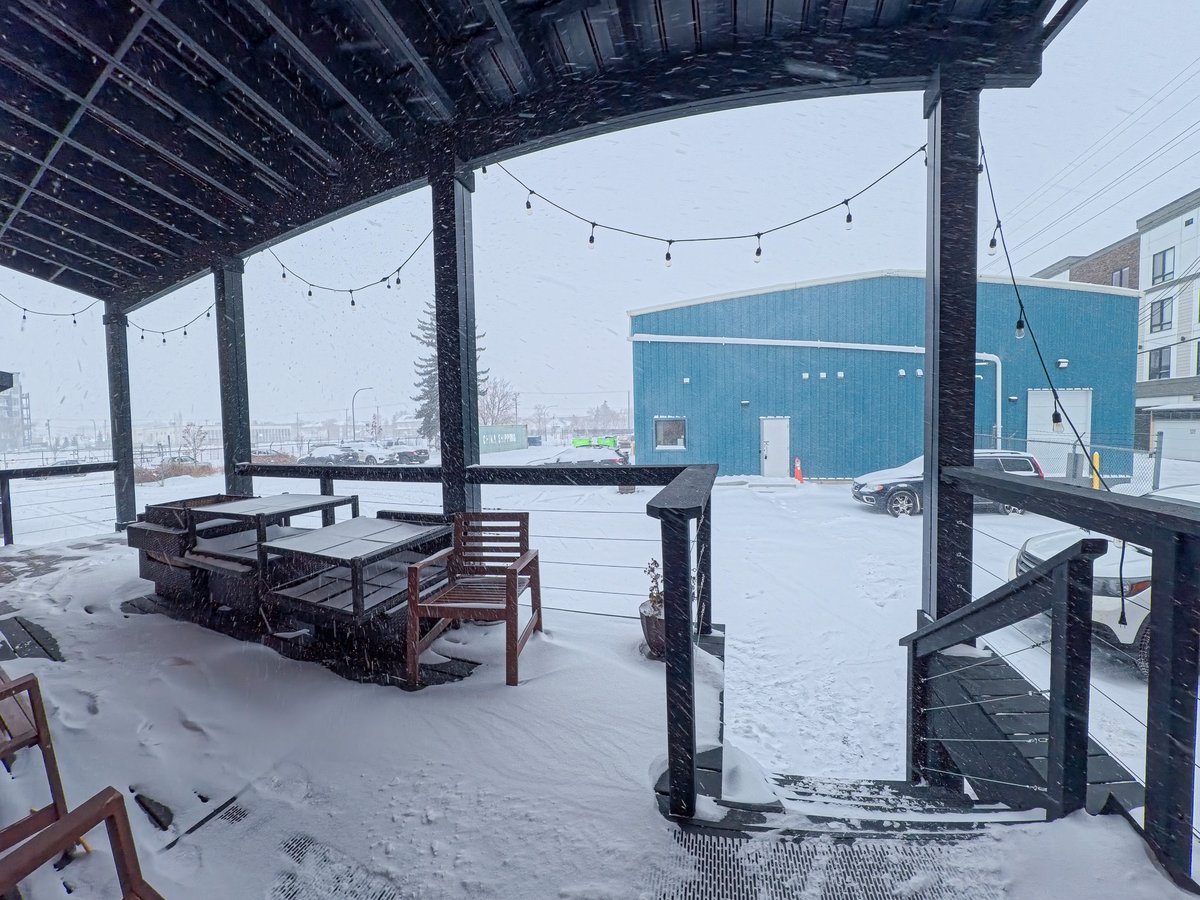 Future Fields tweet media