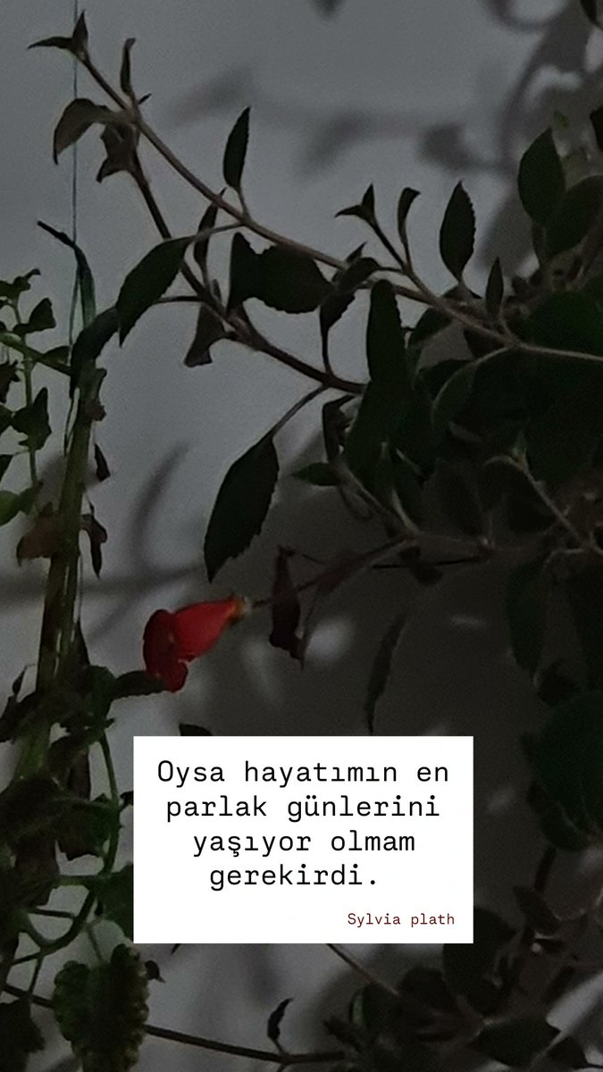 Gulê (@glutensizseron) on Twitter photo 