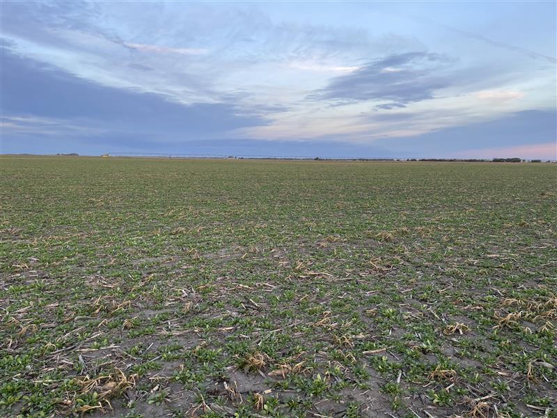 CoverCress Inc. tweet media