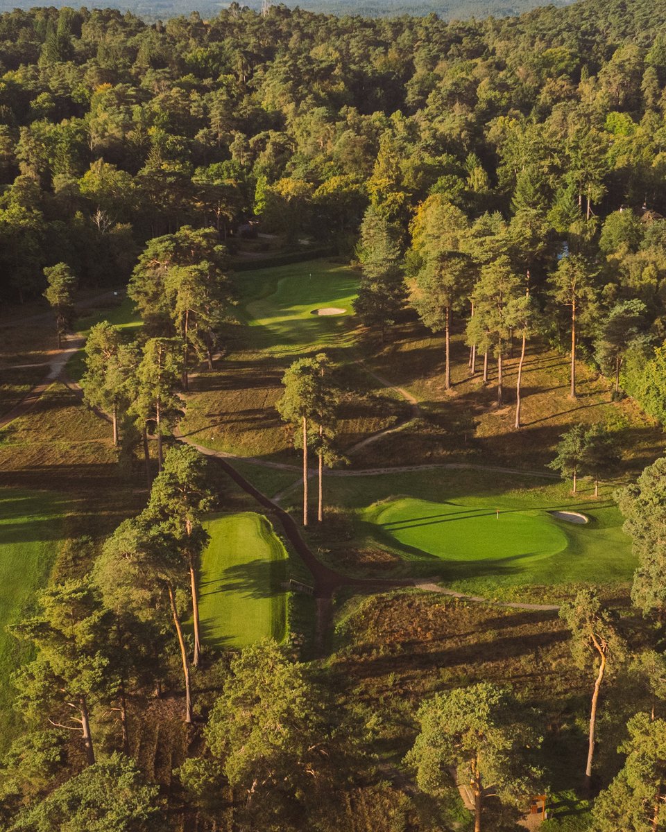 Farnham Golf Club tweet media