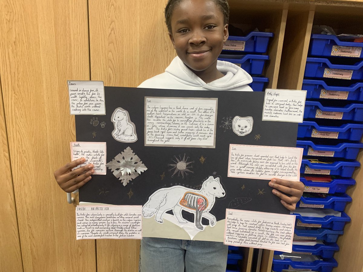 The Divine Mercy Primary School tweet media