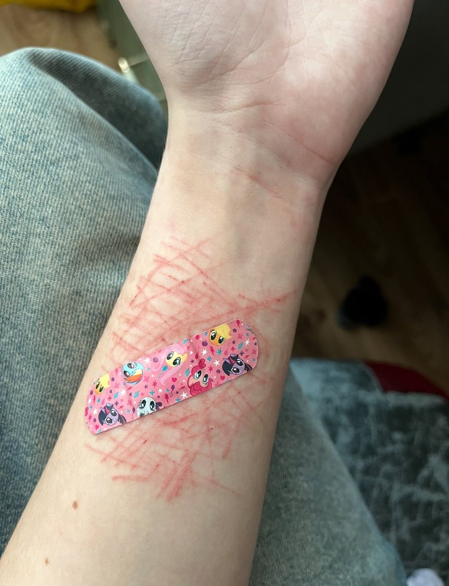 fagburr's tweet photo. dis from april 1

i miss my mlp bandages sm https://t.co/tF706BiIEa