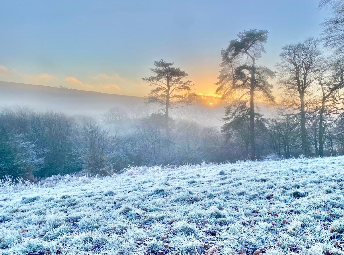 Little Mymble tweet media