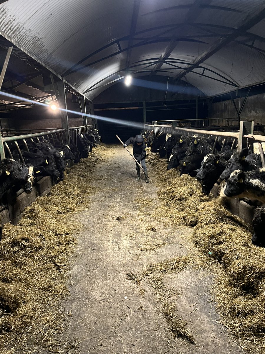 Ger Hogan tweet media