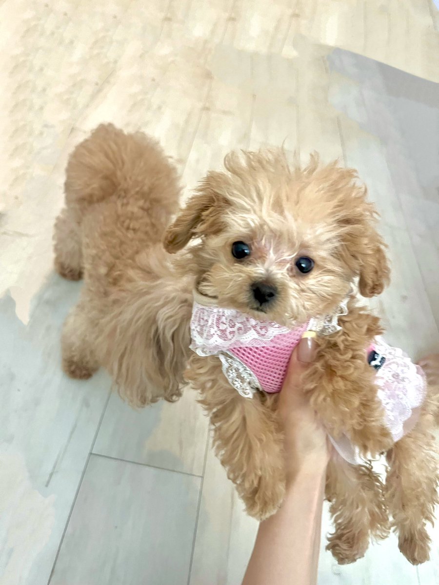 tpiy91's tweet photo. 🍼 https://t.co/jDaYPdVGrH