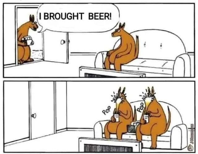 Daily Kangaroo Sniper tweet media