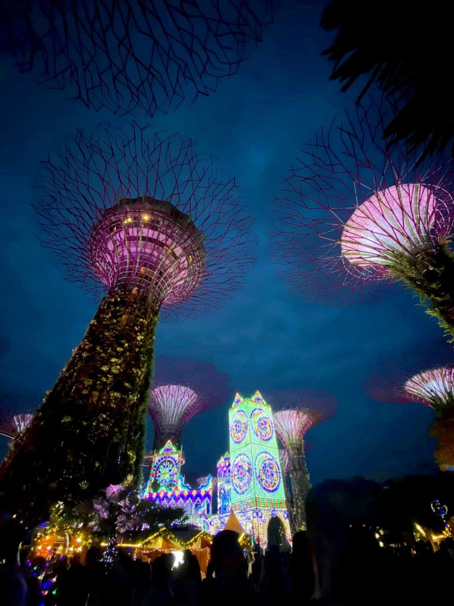 Diyaavniwl's tweet photo. 🇸🇬 Gardens by the Bay | Christmas Wonderland Every year during the Christmas season, Gardens by the Bay's Christmas Wonderland transforms into a magical world of lights#Singapore #Christmas https://t.co/NEPxuluLke