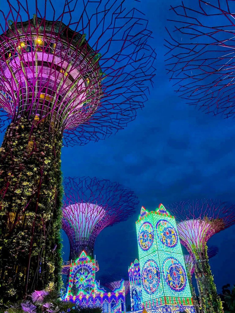 Diyaavniwl's tweet photo. 🇸🇬 Gardens by the Bay | Christmas Wonderland Every year during the Christmas season, Gardens by the Bay's Christmas Wonderland transforms into a magical world of lights#Singapore #Christmas https://t.co/NEPxuluLke