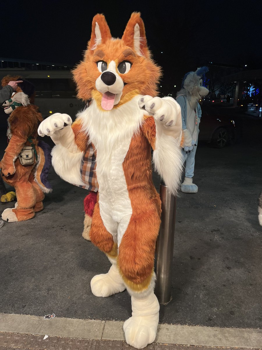 peachie 🎀 | texas ⚡️ tweet media