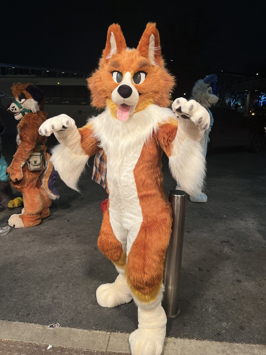 peachie 🎀 | texas ⚡️ tweet media