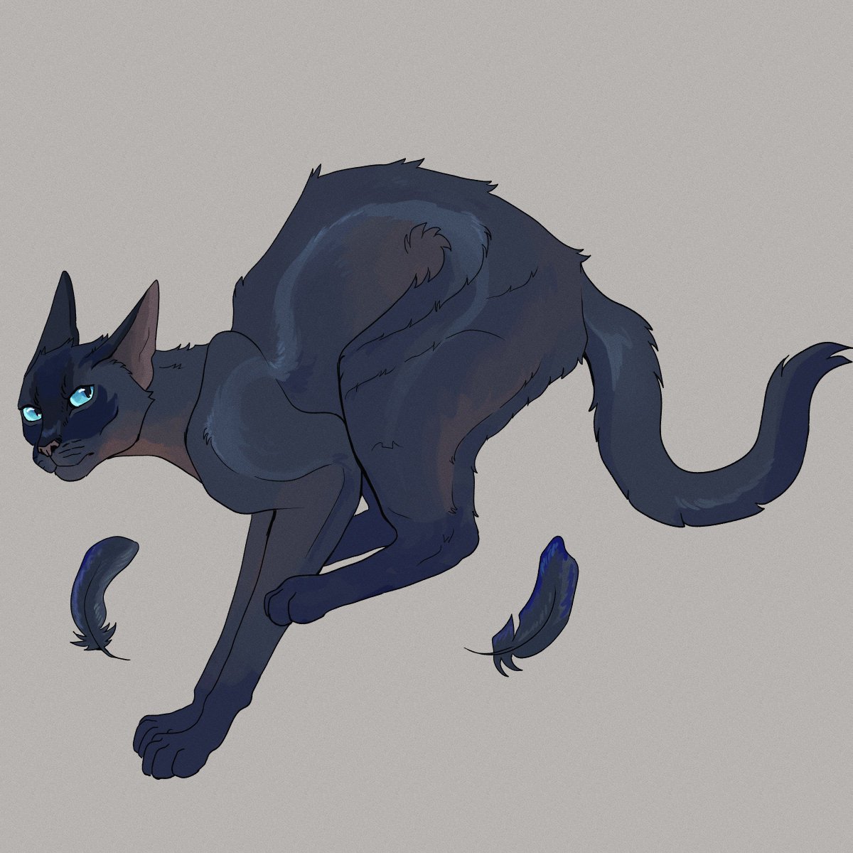 In WindClan, apprentices know when to keep their mouths shut