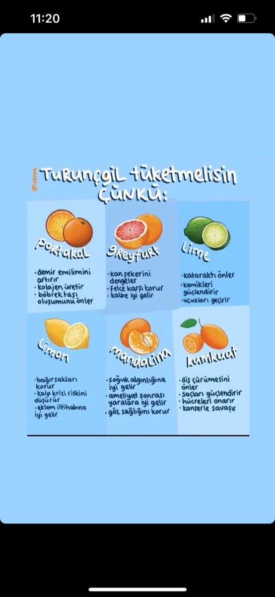 İlaç yerine Turunçgil tüketebilirsiniz.