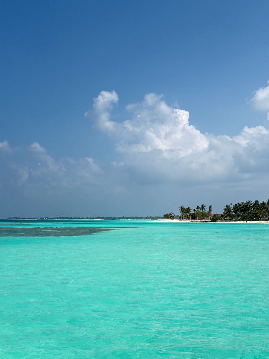 Один Твой Друг tweet media