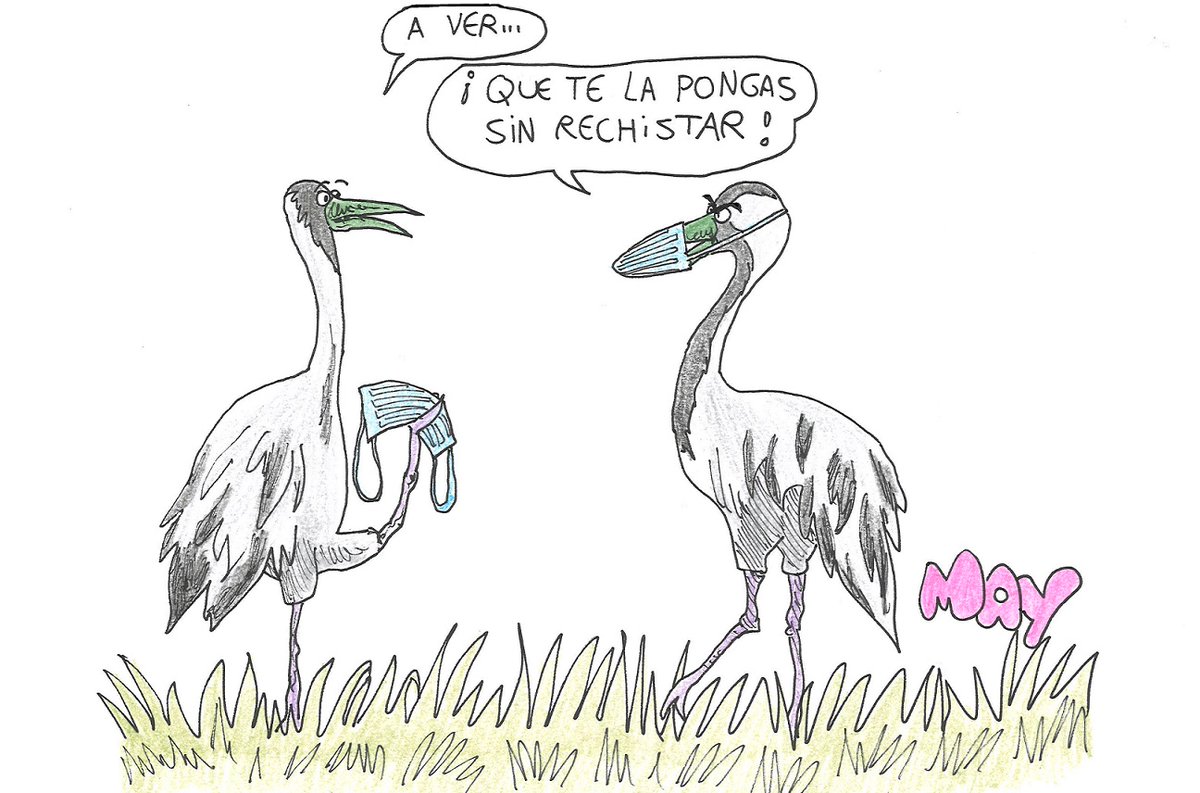 El brote de #gripeaviar que afecta en las últimas semanas a Europa ha causado la muerte de varias decenas de miles de #aves silvestres. En el caso de España, más de mil ejemplares de #grullas han fallecido por causa de esta enfermedad.

efeverde.com/gripe-aviar-ma…