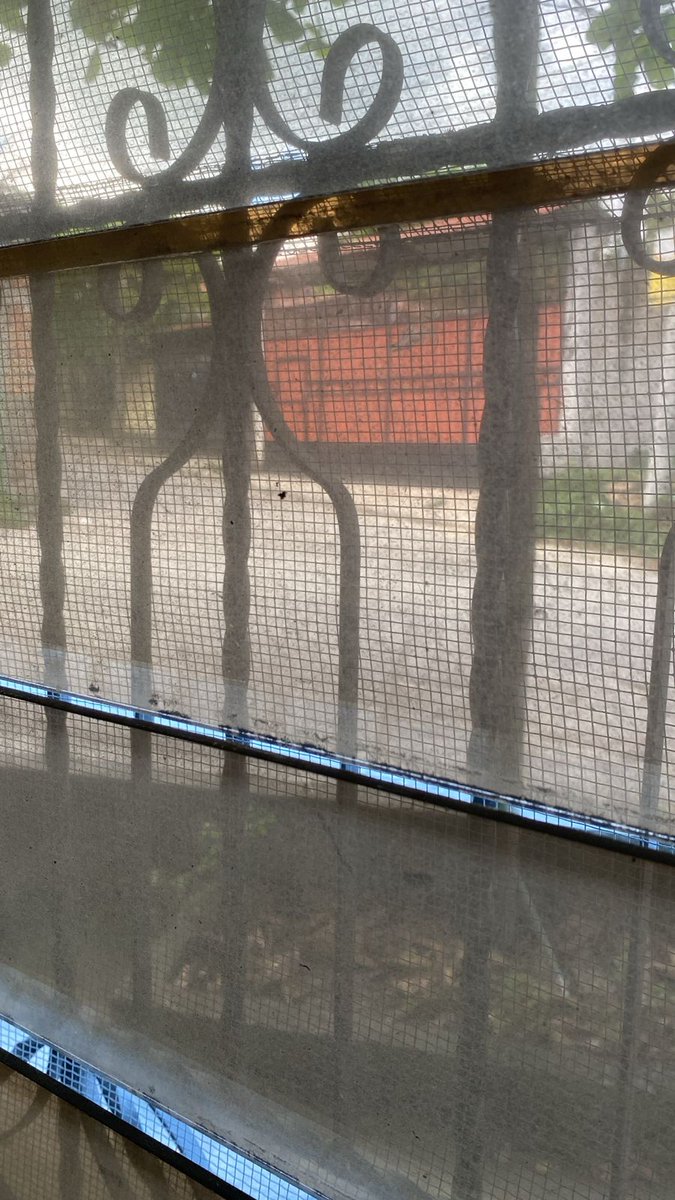 jchrdzz78's tweet photo. Señores del @MedioAmbienteSV @PNCSV @FGR_SV Por favor hacemos la denuncia que a esta casa llegan a destazar caballos y el. Al olor es insoportable. Vehículo placas # P52CFA
Colonia Las Mercedes 2da etapa, poligono U, San Rafael Cedros, Cuscatlan https://t.co/SxSa97g21R