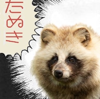 ᐢ⓿ᴥ⓿ᐢ<たぬきはいいぞぉ